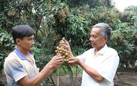 Thu 2 tỷ đồng/năm nhờ nhãn Ido