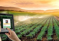 9 giải pháp công nghệ nông nghiệp sẵn sàng xâm nhập thị trường Việt Nam