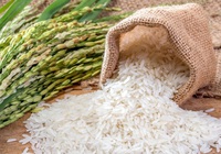 Doanh nghiệp đủ điều kiện kinh doanh xuất khẩu gạo, cập nhật đến ngày 21/1/2022