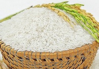 Tăng cường kiểm soát mặt hàng gạo, ngăn nguy cơ gian lận xuất xứ
