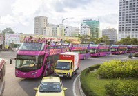 Doanh nghiệp Đà Nẵng thành lập mới tăng vọt trong tháng 9/2022