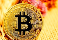 Giá Bitcoin hôm nay 25/11: Bitcoin lao dốc sau khi WEMIX bị hủy niêm yết bởi các sàn giao dịch của Hàn Quốc