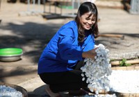 Video: Nông dân Lâm Đồng thu nhập hàng chục triệu đồng mỗi tháng nhờ trồng dâu, nuôi tằm