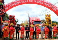 Xuất khẩu sầu riêng chính ngạch sang Trung Quốc, niềm mong ước của người dân, doanh nghiệp ở Lâm Đồng 