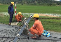 Quảng Nam: Sau bão số 4, ngành điện chạy nước rút để khắc phục lưới điện