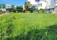 Quảng Ngãi đưa ra đấu giá 59 thửa đất ở khu dân cư làng cá Sa Huỳnh