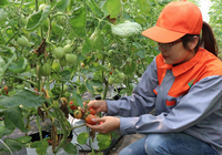 Khởi nghiệp chẳng bao giờ là dễ