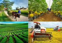 Video: Hành trình tìm chủ nhân Giải báo chí toàn quốc viết về "Nông nghiệp, Nông dân, Nông thôn Việt Nam" 2023