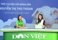 GÓC CHUYÊN GIA: Phòng bệnh đường ruột cho heo bằng cách nào?