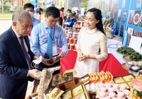 TT-Huế: Hỗ trợ các dự án, doanh nghiệp khởi nghiệp thương mại hóa sản phẩm 