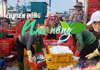 Chuyển động Nhà nông 6/2: Cảng cá Cửa Việt tấp nập những ngày đầu năm