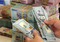 "Việt Nam là quốc gia châu Á đầu tiên xoay trục nới lỏng chính sách tiền tệ khi FED liên tục tăng lãi suất"