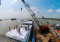 Indonesia nhập khẩu thêm 500.000 tấn gạo, cơ hội lớn cho Việt Nam