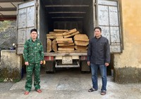 TT-Huế: Bắt giữ xe tải đông lạnh vận chuyển hàng chục phách gỗ lậu 