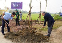 Phòng trào Ngày Chủ nhật xanh ở TT-Huế là điển hình để các tỉnh thành học hỏi 