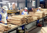Đây là lý do VNDirect dự báo biên lãi gộp doanh nghiệp ngành gỗ sẽ giảm trong năm 2023