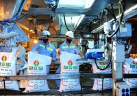 Thắng lợi rực rỡ năm 2022, vì đâu DCM lên kế hoạch lãi giảm sâu tới 67% xuống hơn 1.300 tỷ đồng?