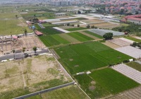 Dự thảo Luật Đất đai (sửa đổi): Những nội dung nào được người dân quan tâm nhất?