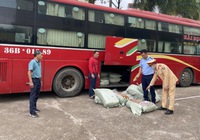 Bắt nửa tấn lòng lợn bốc mùi ở Móng Cái suýt bị đưa lên bàn nhậu