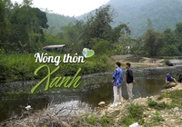 NÔNG THÔN XANH (Trailer): Vì sao dòng suối Cái bị "bức tử"?