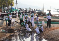 Nha Trang: Trên 115 thanh niên ra quân làm sạch môi trường