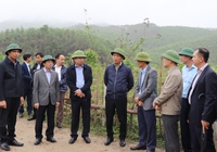 Trưởng Ban Kinh tế Trung ương Trần Tuấn Anh: Quảng Ninh cần kết hợp phát triển kinh tế rừng và biển