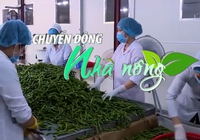 Chuyển động Nhà nông 30/3: 8 phòng thí nghiệm của Việt Nam được phép kiểm nghiệm ớt xuất khẩu sang Hàn Quốc