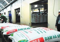 Đạm Bắc Hà (DHB) dự kiến lãi giảm 61% so với thực hiện năm 2022