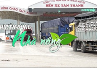Chuyển động Nhà nông 1/4: Lạng Sơn tăng thời gian thông quan ngăn tình trạng nông sản ùn ứ