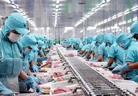Xuất khẩu thủy sản quý I/2023 đạt trên 1,8 tỷ USD, dự báo sẽ sụt giảm hết mùa hè năm nay