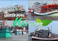 Chuyển động Nhà nông 2/4: Kiên Giang "đau đầu" với 2.500 tàu cá tự phát