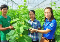 Thừa Thiên Huế triển khai chương tình hỗ trợ thanh niên khởi nghiệp 