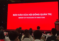 ĐHĐCĐ An Gia: Lên kế hoạch lãi gấp 5 lần cùng kỳ, mua lại 15,5 triệu cổ phiếu giá tối đa 29.000 đồng/cp