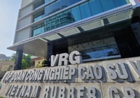 Cao su Việt Nam (GVR) dự trình kế hoạch lãi đi lùi 11%, chia cổ tức 3%