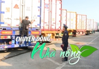 Chuyển động Nhà nông 28/5: Xe chở hàng lên cửa khẩu Lạng Sơn tăng đột biến