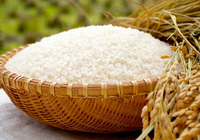 Sản xuất gạo của châu Phi chưa bao giờ đủ, cơ hội nào cho gạo Việt?