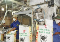 Phân bón Bình Điền (BFC) chốt ngày chia cổ tức lần cuối năm 2022 bằng tiền, tỷ lệ 14%