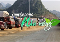 Chuyển động Nhà nông 30/5: Cửa khẩu Hữu Nghị có nguy cơ ùn ứ do nhiều loại trái cây vào vụ xuất khẩu
