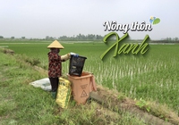 NÔNG THÔN XANH: Rác thải nhựa - mối nguy "ô nhiễm trắng" trong ngành nông nghiệp