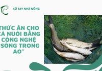 SỔ TAY NHÀ NÔNG: Chế biến thức ăn cho cá nuôi bằng công nghệ “sông trong ao” 