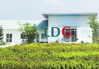LDG triệu tập ĐHĐCĐ lần 2, cổ phiếu 'xanh mướt' sau 'phản hồi' của lãnh đạo về vụ án tại DA Tân Thịnh