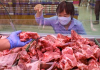 Đại biểu Quốc hội: Dân ăn nhiều cá, trứng và thịt bò, bình ổn giá thịt lợn để làm gì?