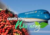 Chuyển động Nhà nông 10/6: Vải thiều Thanh Hà được đưa vào suất ăn trên các chuyến bay của Vietnam Airlines