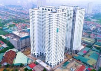 Đấu giá chung cư tại nội thành Hà Nội, giá khởi điểm chỉ từ 31 triệu đồng/m2