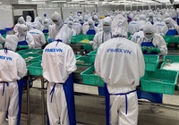 Doanh thu tháng 5 của Thực phẩm Sao Ta (FMC) giảm sâu 44% so với cùng kỳ