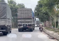 Video: Hàng trăm xe quá khổ, quá tải ngang nhiên đi lại trên tỉnh lộ ở Lào Cai
