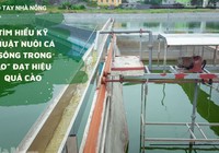 SỔ TAY NHÀ NÔNG: Nuôi cá theo kỹ thuật “sông trong ao" như thế nào để đạt hiệu quả kinh tế cao?