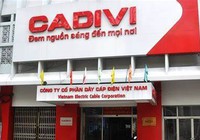 Dây Cáp điện Việt Nam (CAV): Lên kế hoạch lợi nhuận trước thuế đạt 450 tỷ, dự chia cổ tức tỷ lệ 100% 