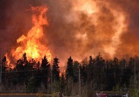 Clip: Canada đối mặt với cháy rừng nghiêm trọng
