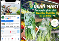 Bean Mart – Siêu thị độc quyền về phân phối sản phẩm rau Nhật Bản tại Đà Nẵng